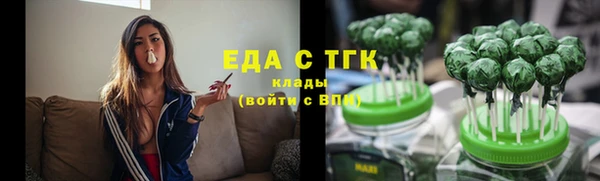 гидра Алексин